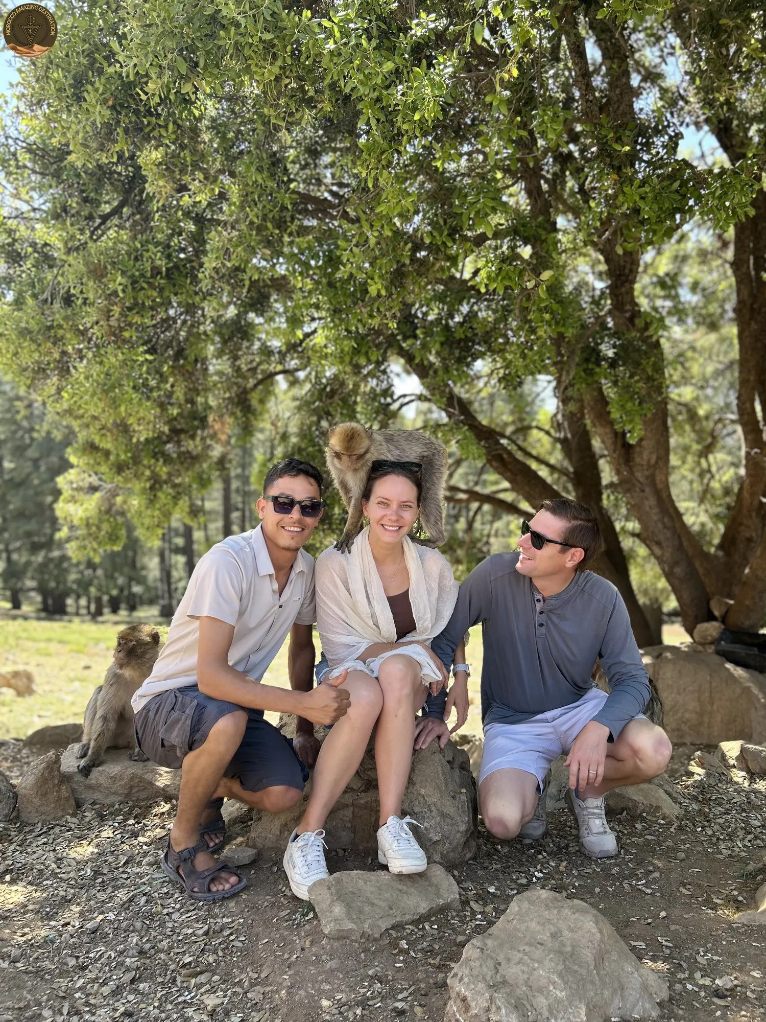 Fes to Rabat via Merzouga Desert - Ziz Valley palm oasis in Morocco