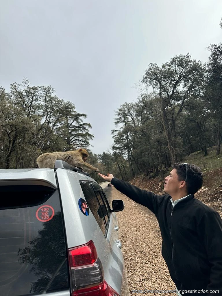 Consejos de Viaje a Marruecos para Primerizos: Guía Esencial para un Viaje Perfecto