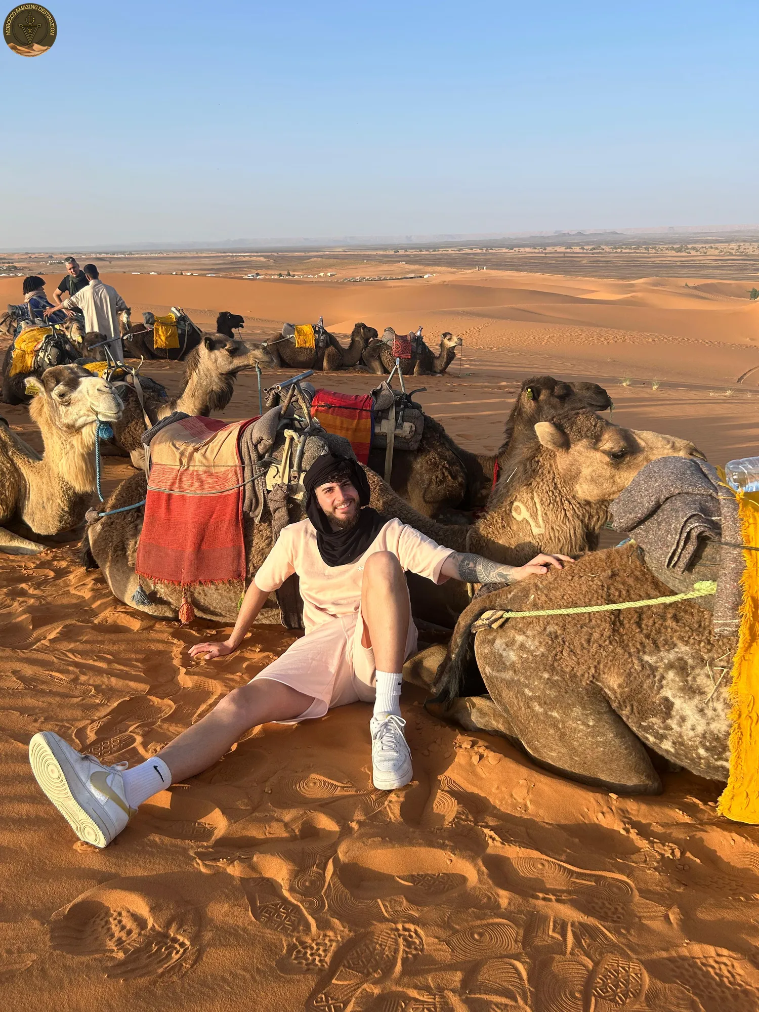 Marrakech To Fes - Camels in the desert in Morocco