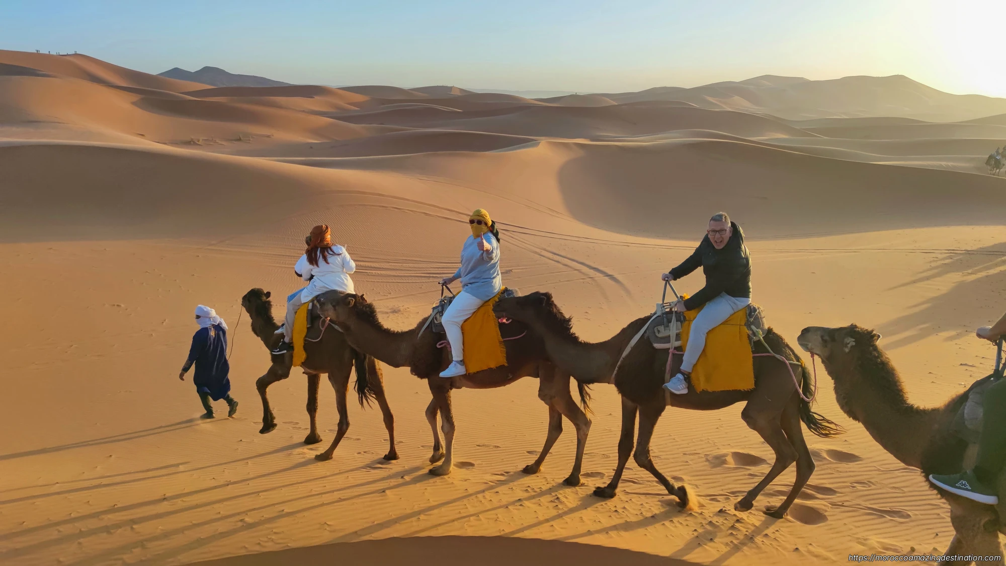 Camels in the Desert