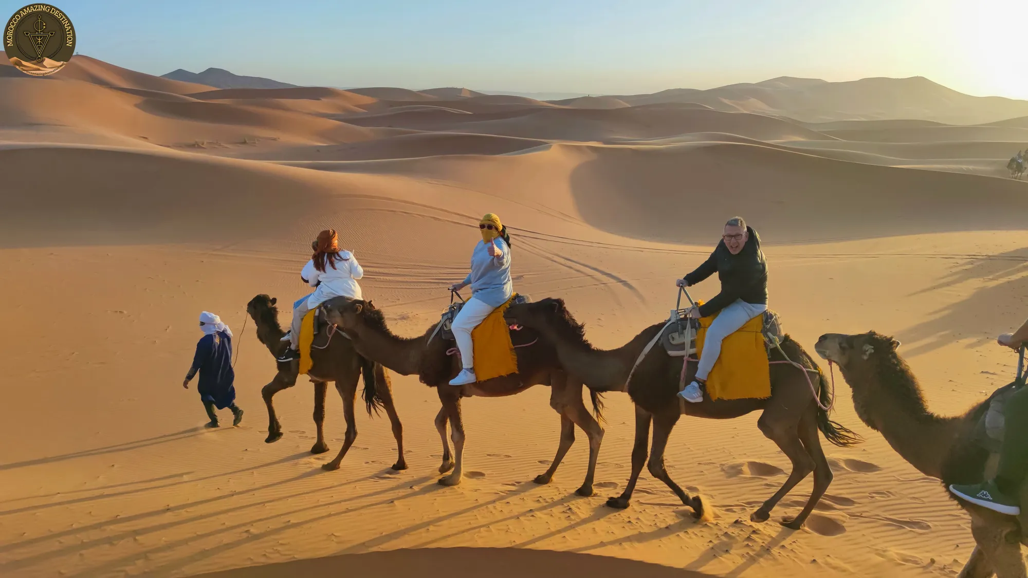 Camellos en el Desierto