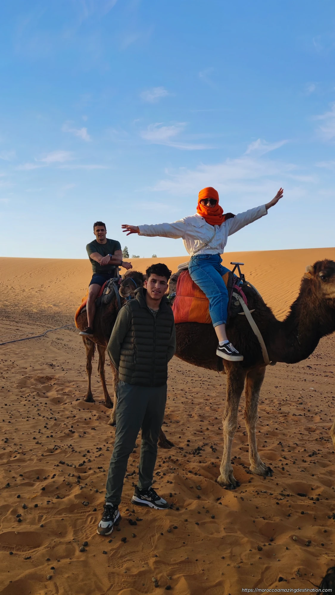 Camels in the desert