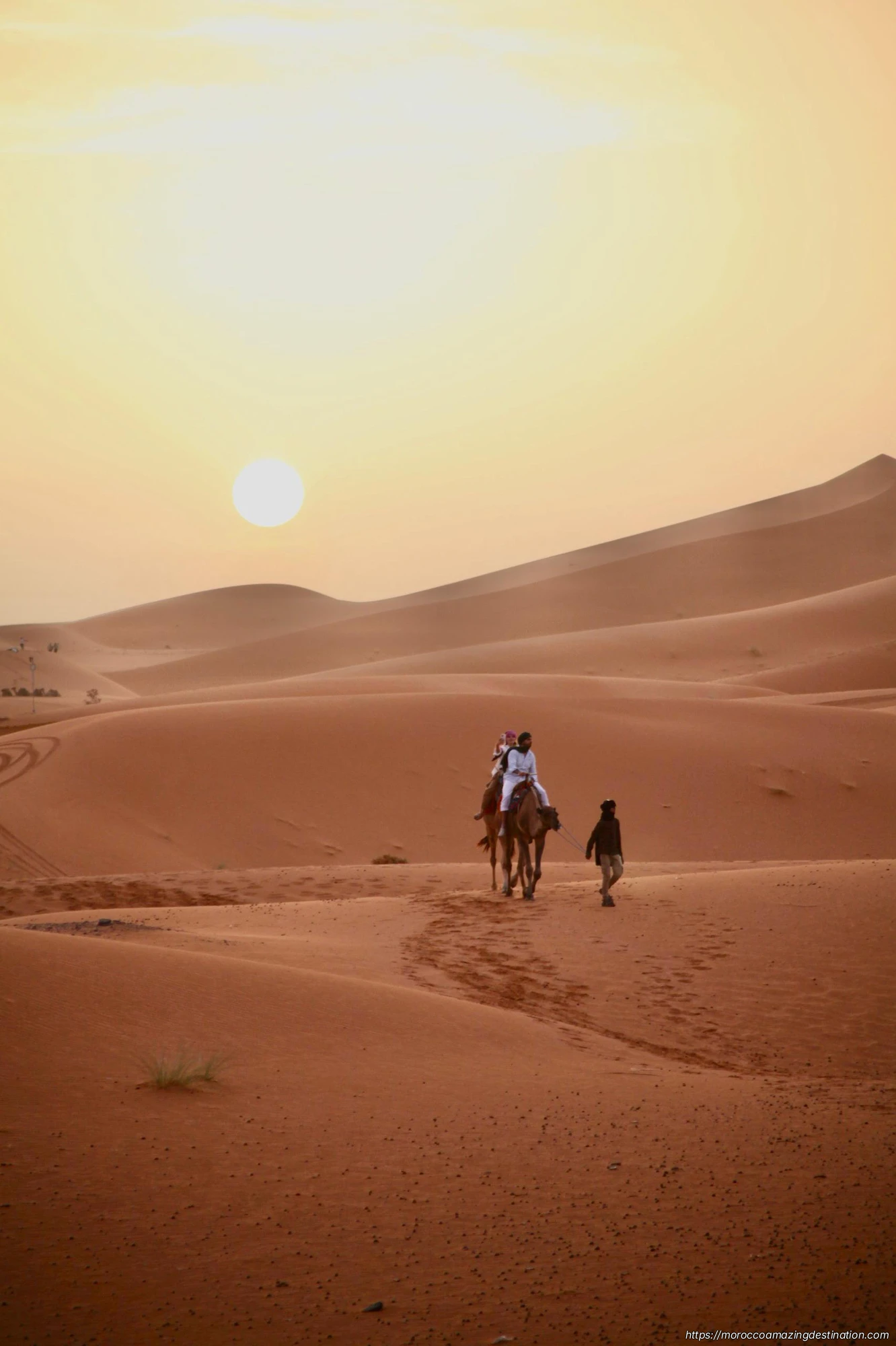 Campi nel Deserto e Trekking in Cammello in Marocco: Raccomandazioni e Cosa Aspettarsi
