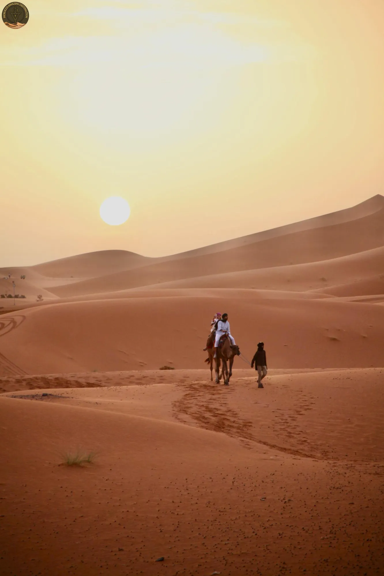 Morocco Desert Camps & Camel Treks: Recommendations and What to Expect