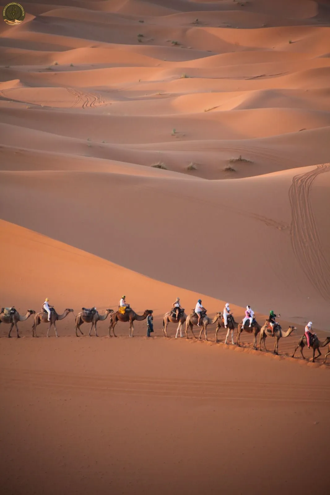 Tour nel Deserto da Tangeri: La Guida Definitiva del Sahara