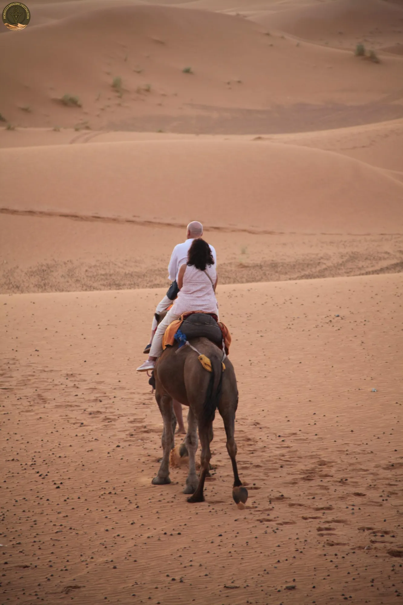 When Is the Cheapest Time to Travel to Morocco: Ultimate Budget Guide
