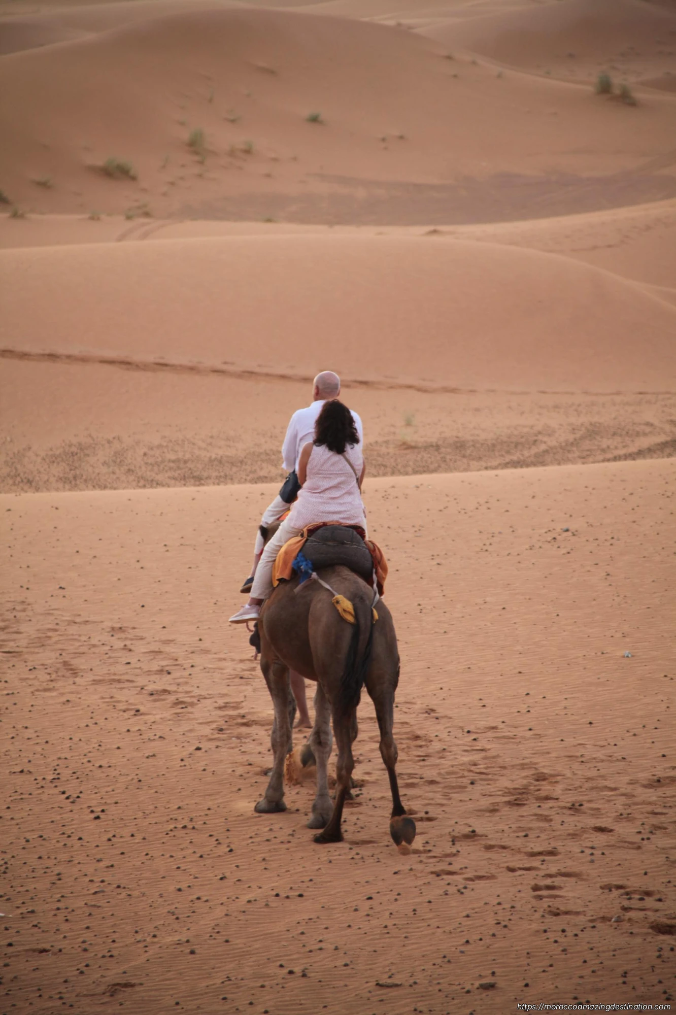 When Is the Cheapest Time to Travel to Morocco: Ultimate Budget Guide