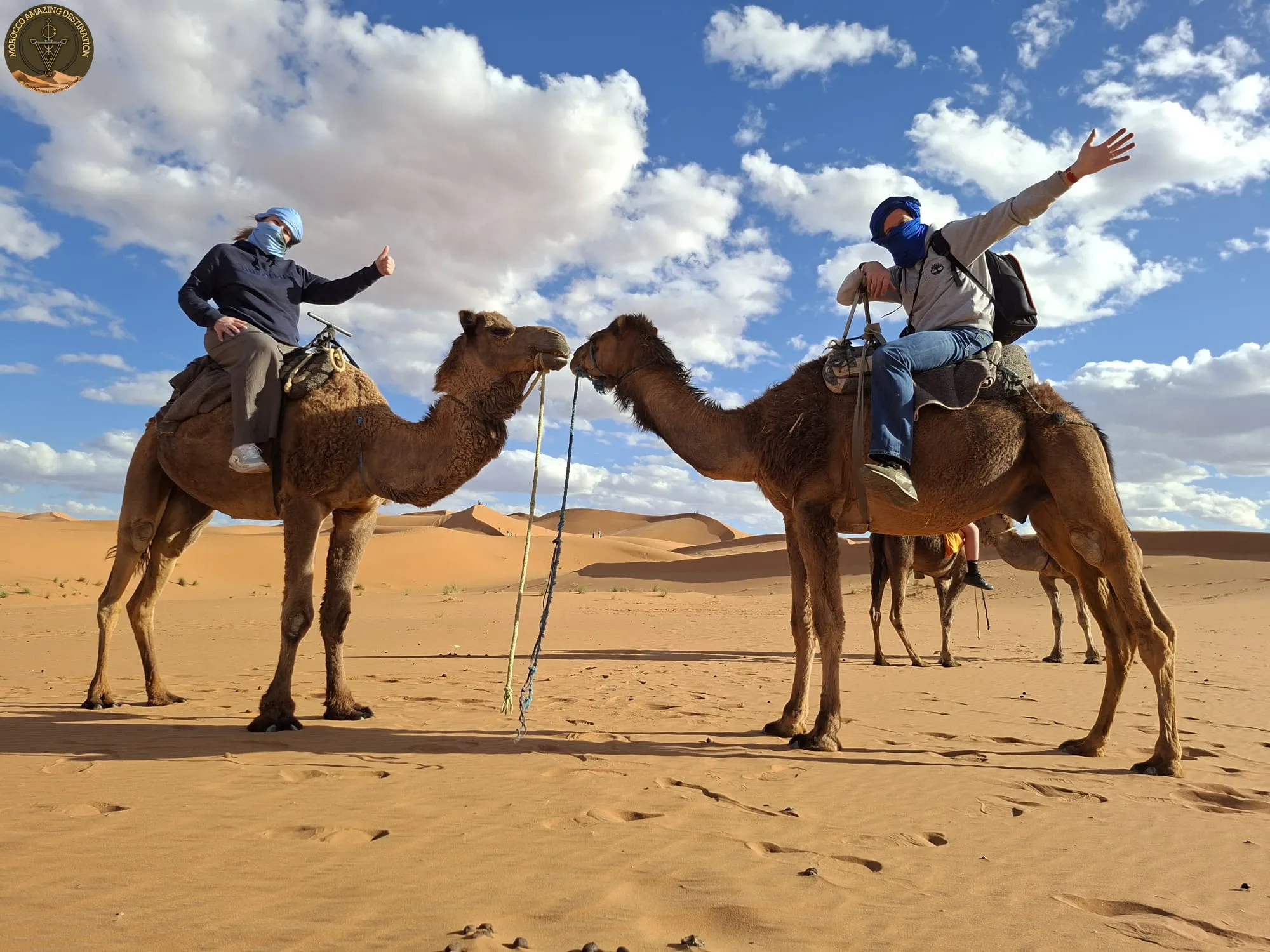 Fes to Rabat via Merzouga Desert - Camel trek at sunset in Merzouga Desert in Morocco