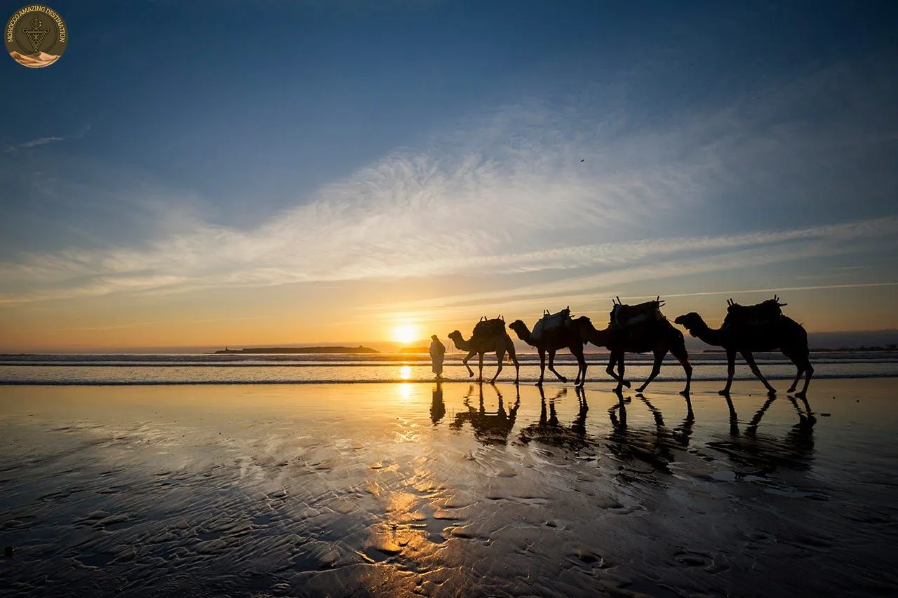 Essaouira Activities: The Ultimate Guide to Things to Do in Essaouira, Morocco