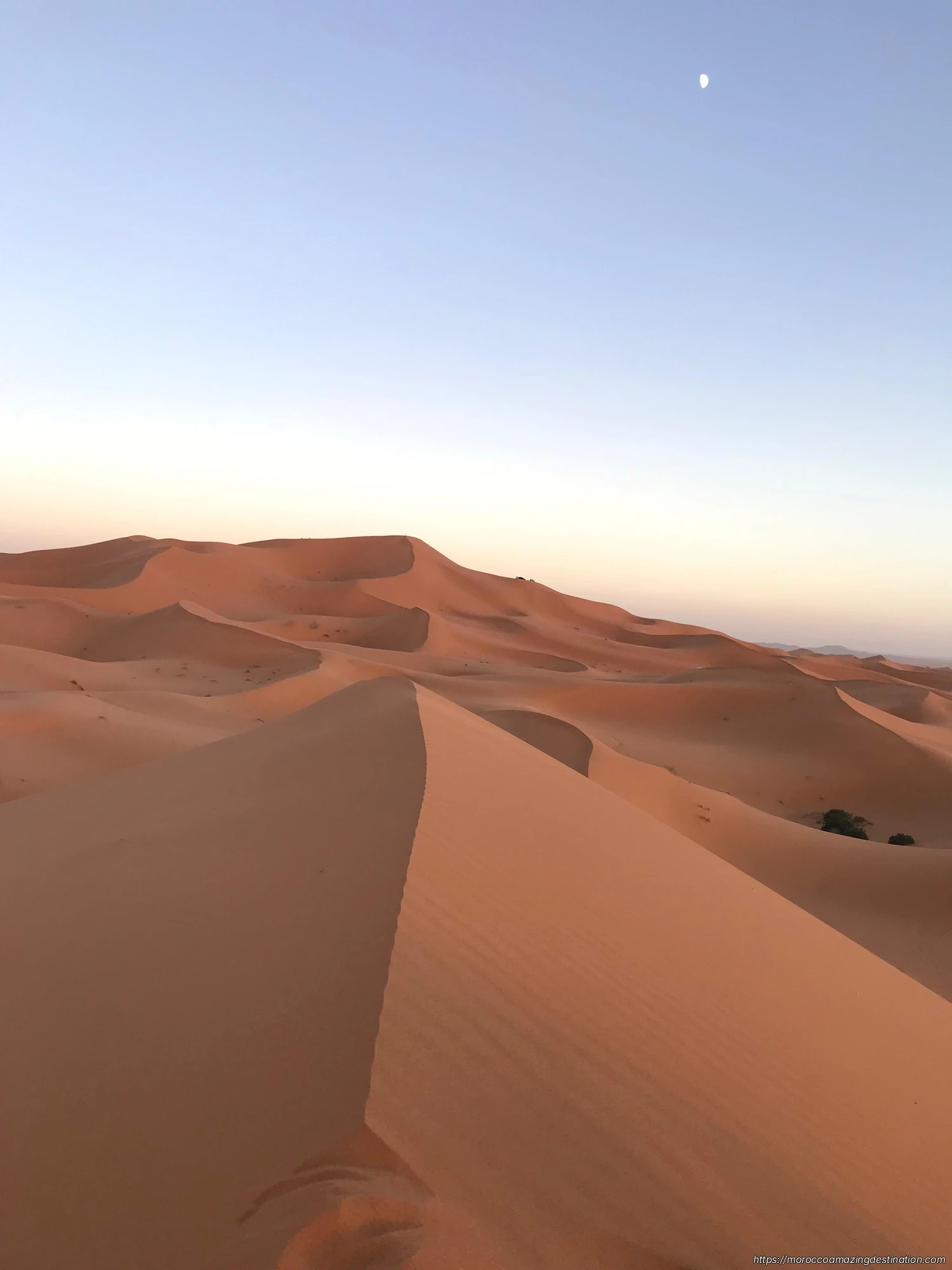 Merzouga Desert