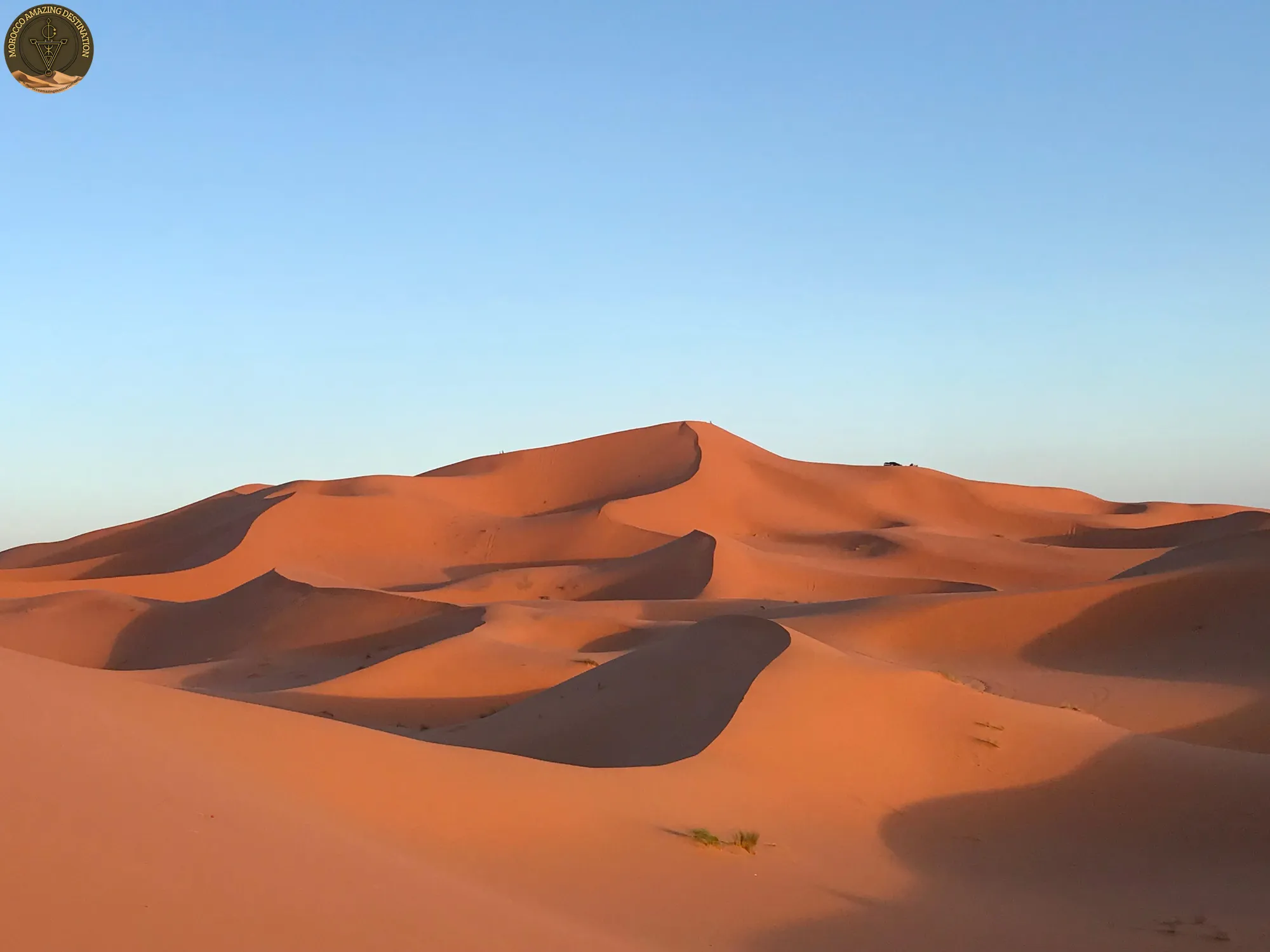 Morocco desert landscape with camels at sunset