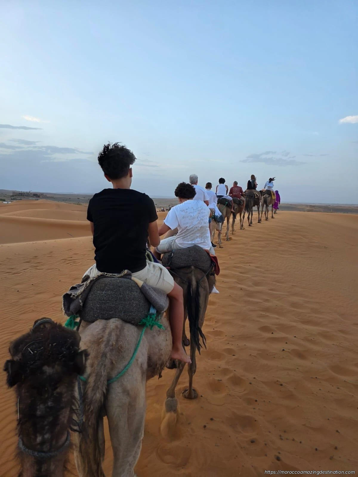Merzouga Desert Camel Trekking