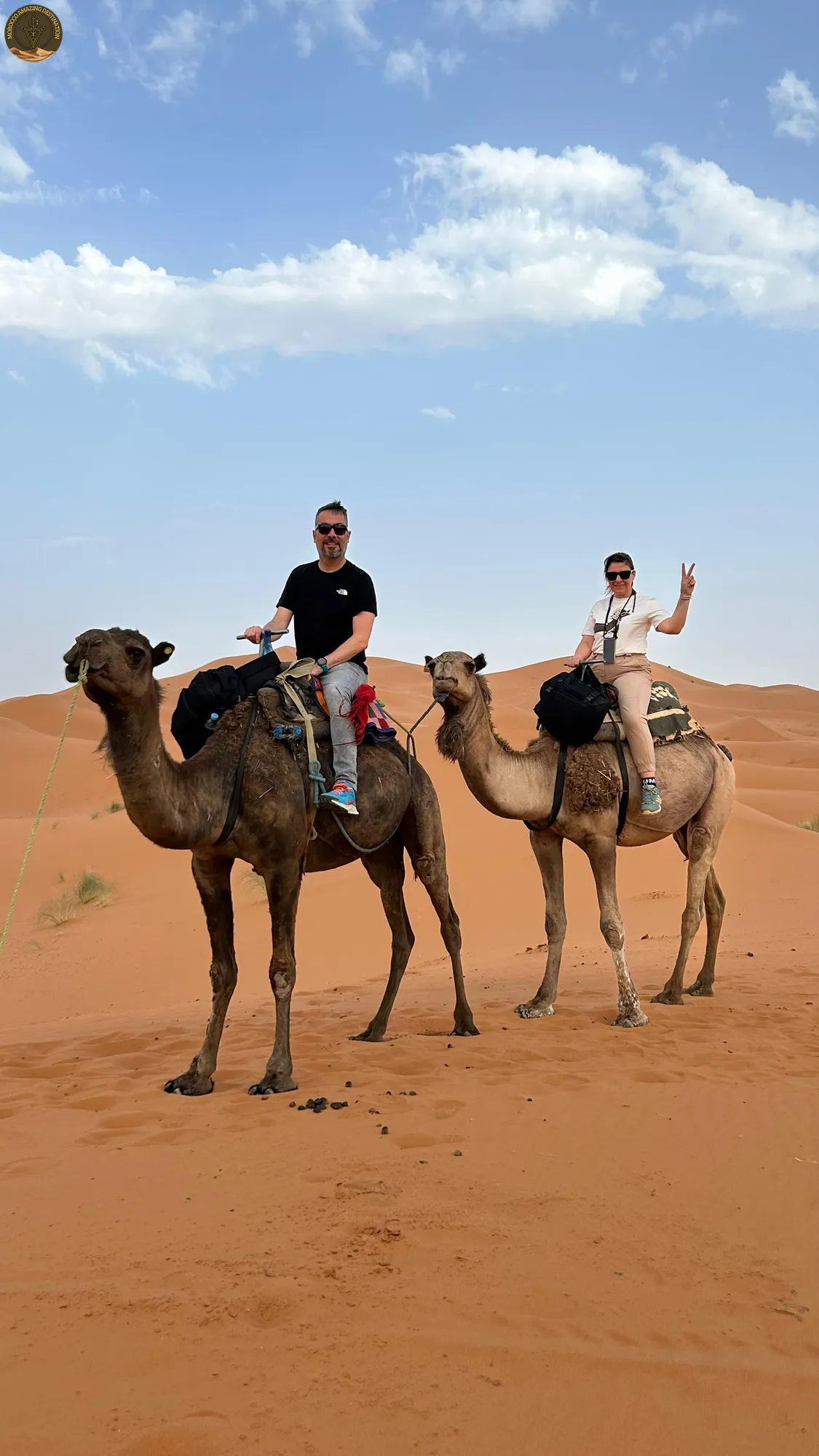 Desert Tour From Marrakech - Merzouga desert camel trekking in Morocco