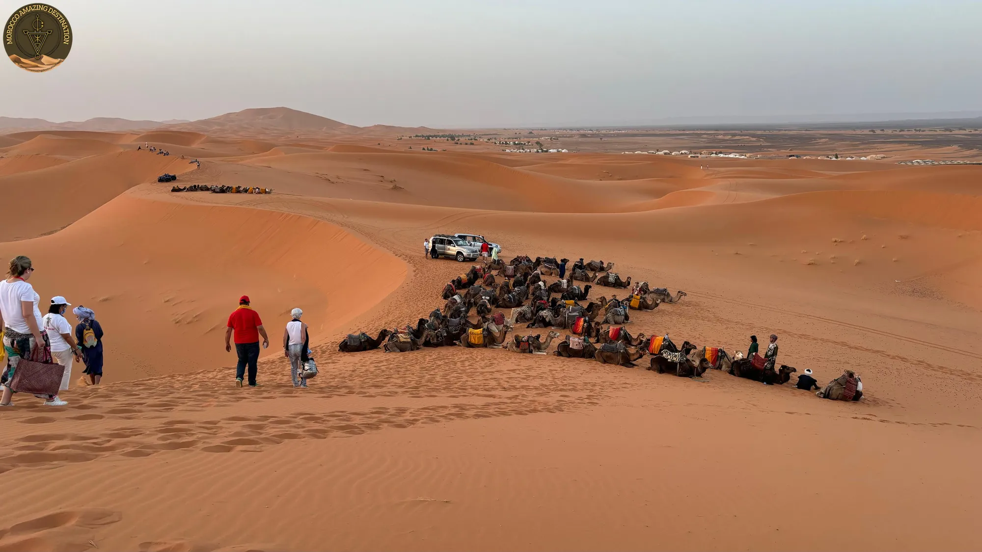 Marrakech To Fes - Merzouga Desert Camels in Morocco