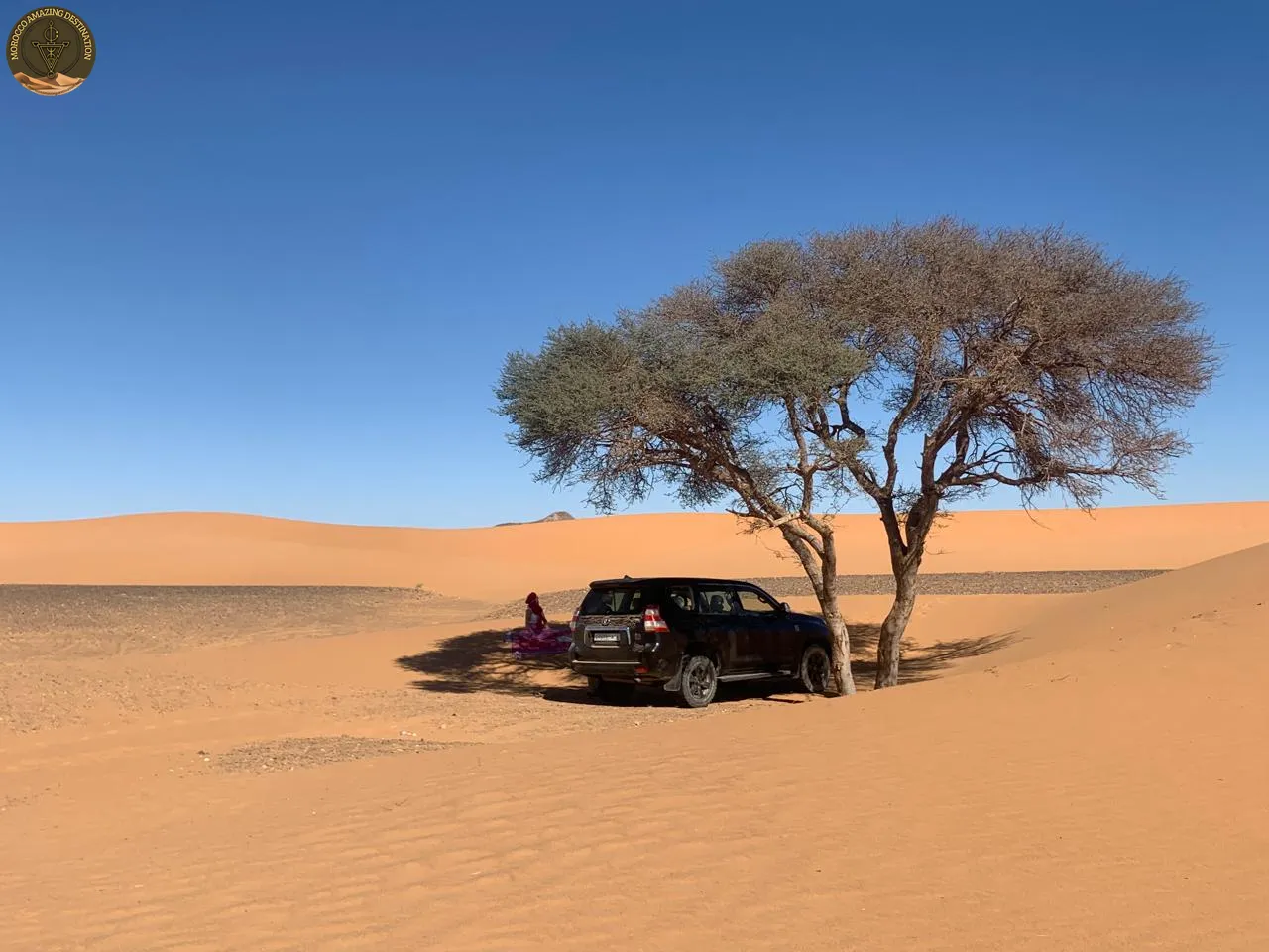 Is There Uber in Morocco? A Complete Guide to InDrive, Taxis, and Getting Around