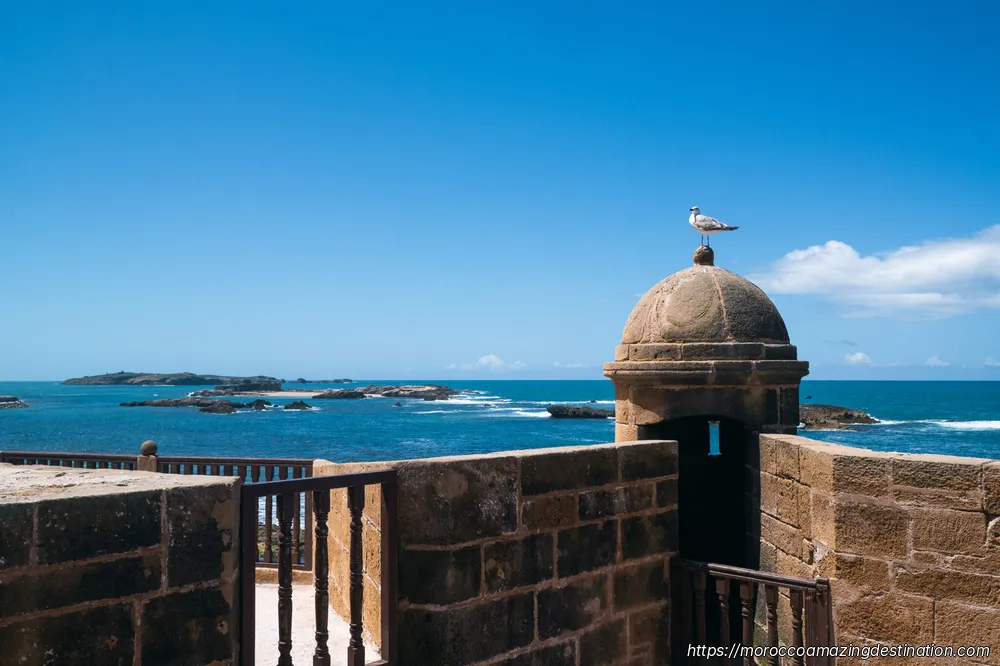 Imperdibles de Essaouira: Atracciones y Lugares Que No Te Puedes Perder