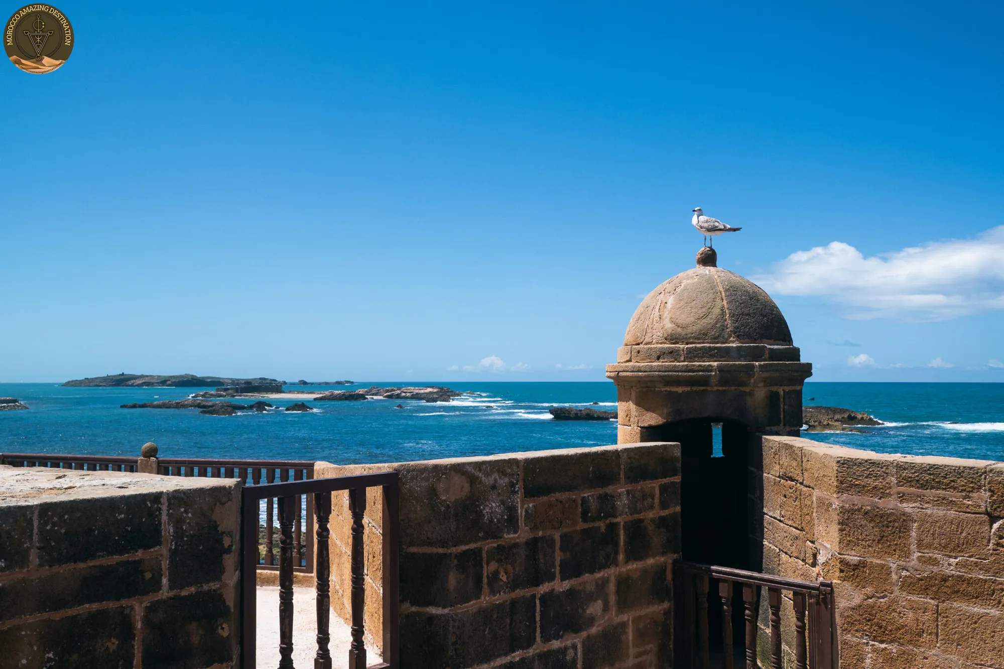 Must-See in Essaouira: Top Attractions & What Not to Miss
