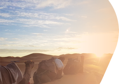 camels tour